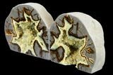 Wide, Crystal Filled Septarian Geode Bookends - Utah #114334-1